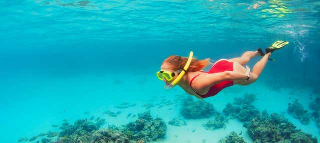Snorkeling a Koh Kut