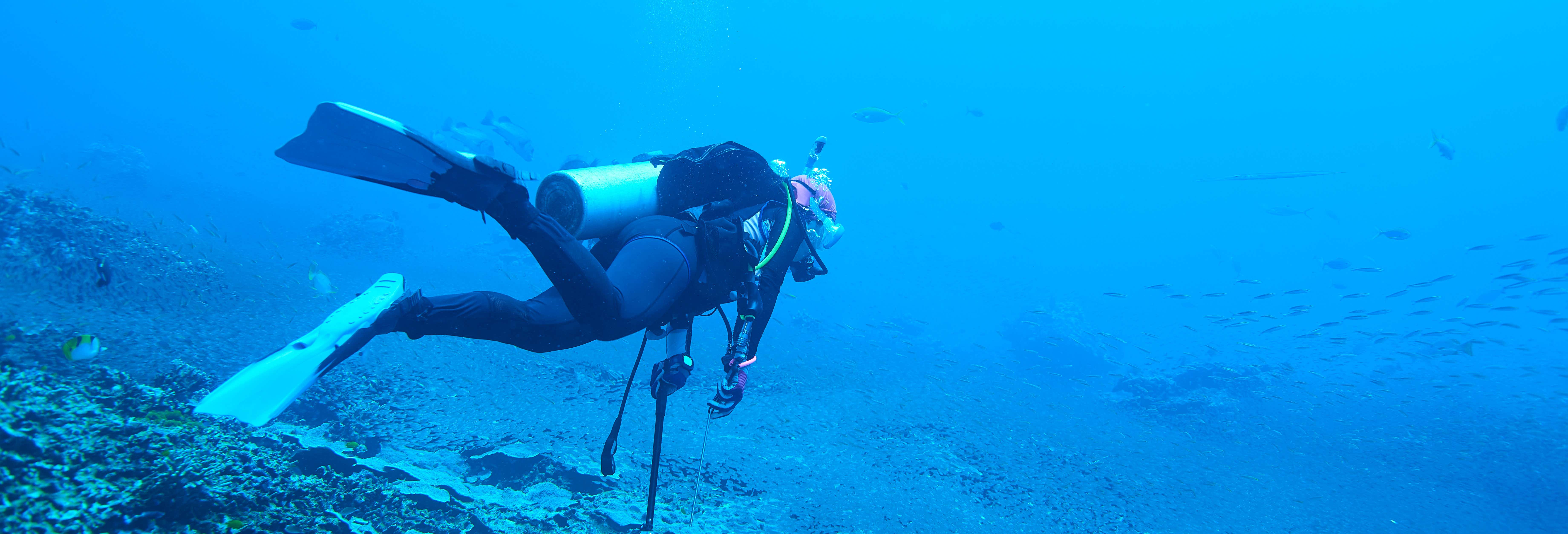 Immersione a Sail Rock