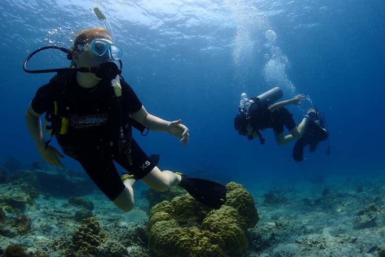 Koh Tao Diving