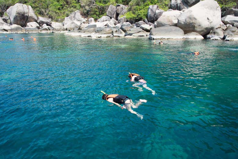 Snorkel en Koh Tao desde Koh Samui Reserva en