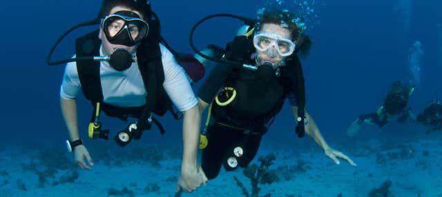 Immersione per principianti a Ko Tao