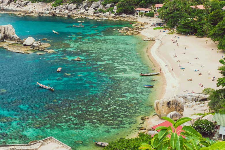 Imagen 5