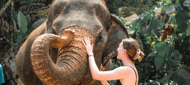 Escursione al santuario degli elefanti di Ao Nang