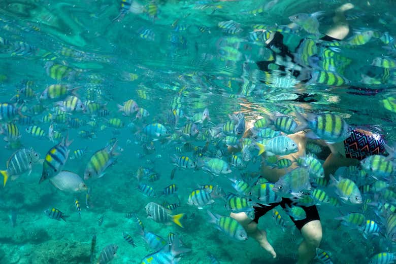 Imagen 17