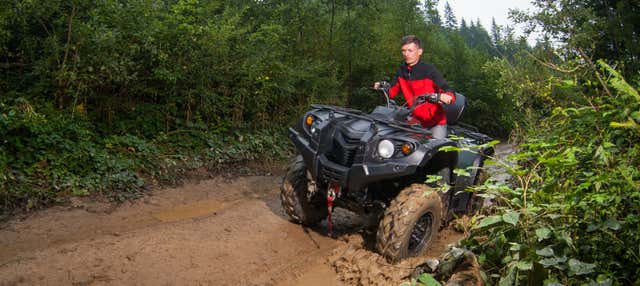 Tour in quad a Krabi