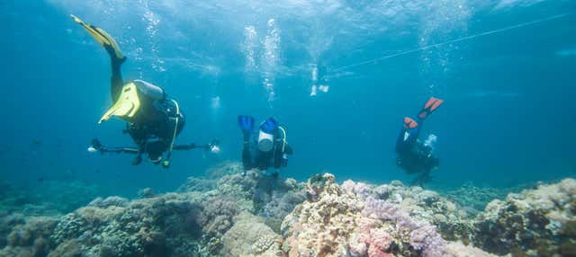 Immersione a Pattaya