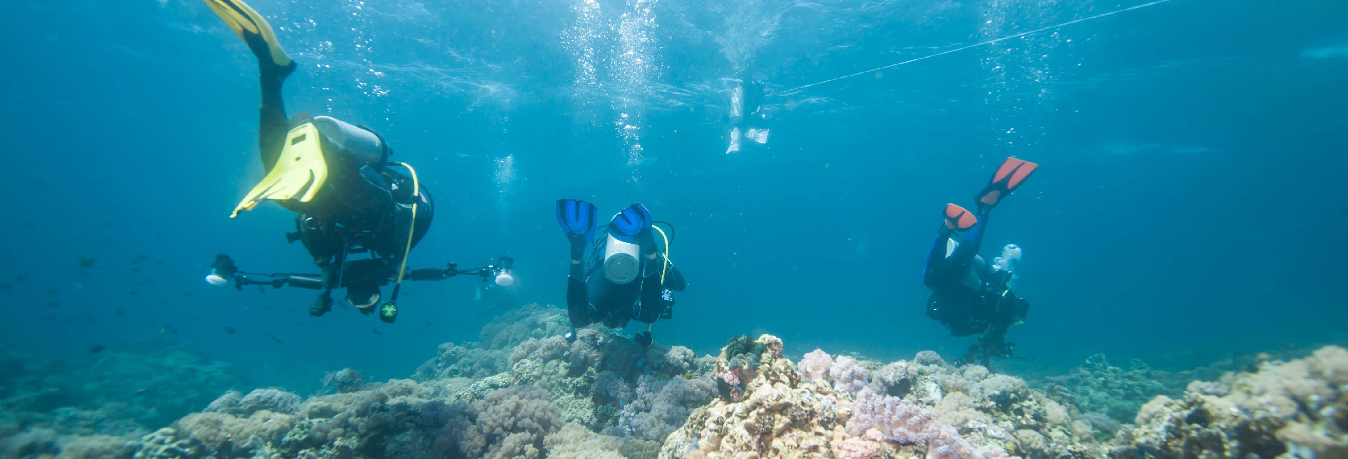 Immersione a Pattaya