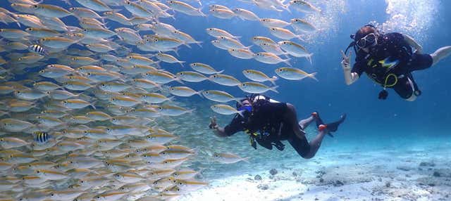 Immersione all'isola di Racha Yai