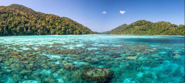 Escursione alle isole Surin in motoscafo