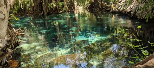 Escursione alle terme di Kikuletwa