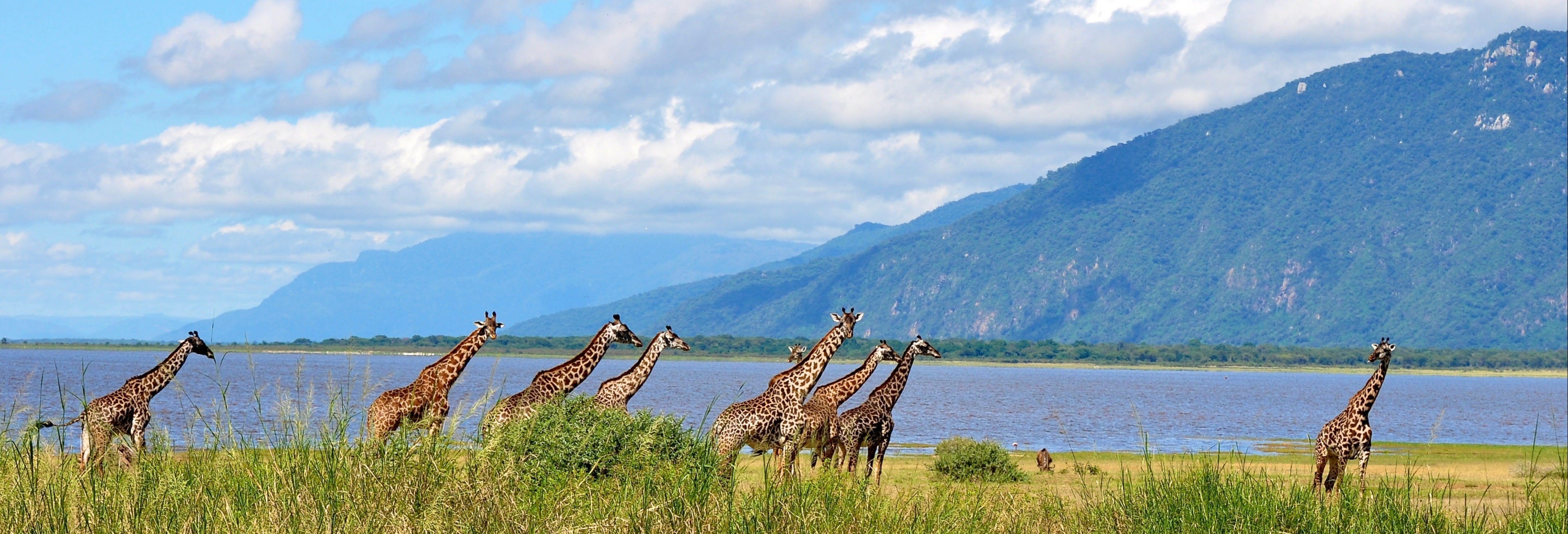 Lake Manyara Safari