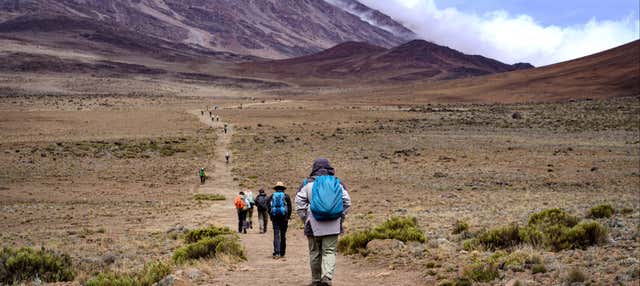 Machame Route di 9 giorni al Kilimangiaro