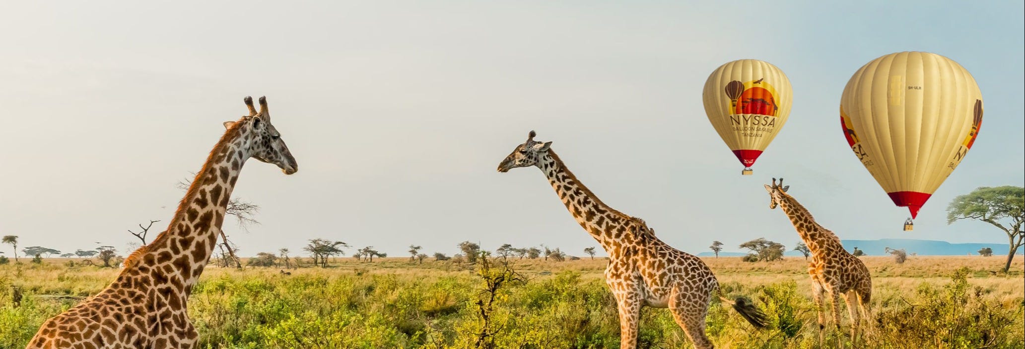 Balloon Ride Over Serengeti National Park