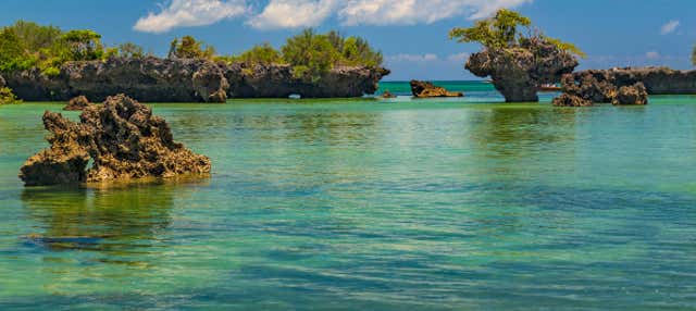 Escursione all'isola di Kwale