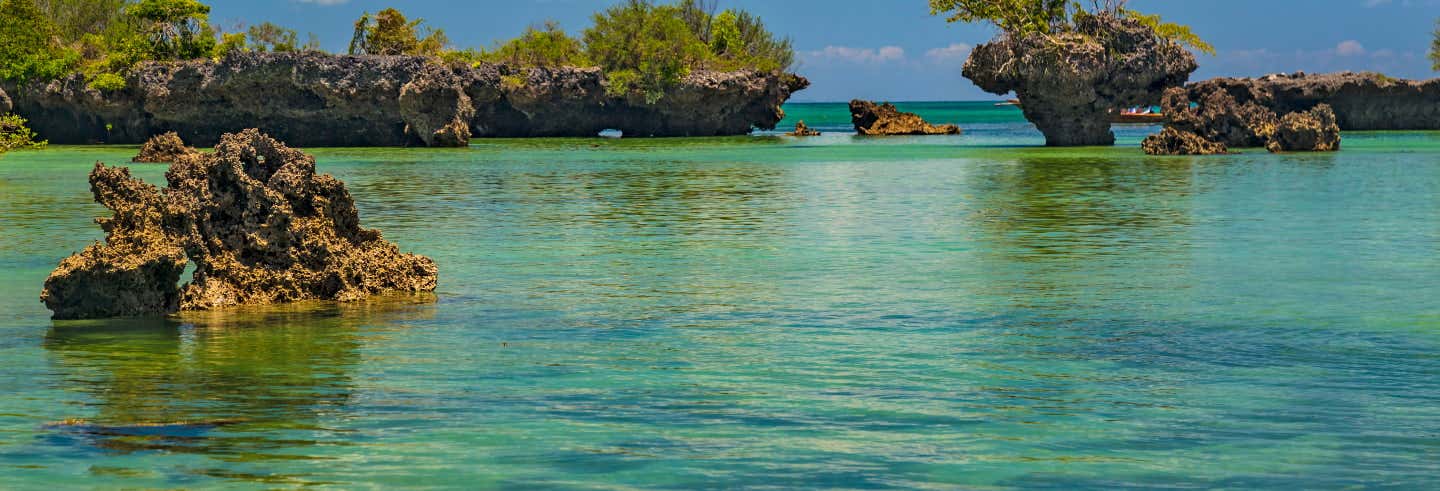 Escursione all'isola di Kwale