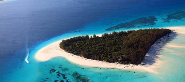 Snorkeling all'atollo di Mnemba