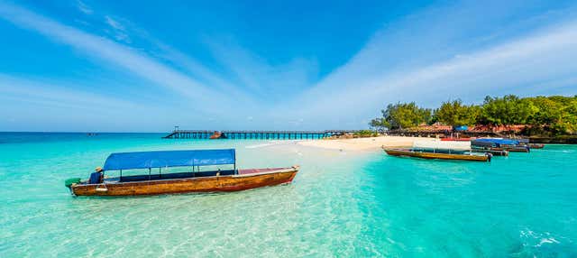 Tour di Stone Town, Prison Island e coltivazione di spezie