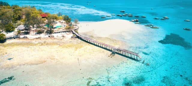 Escursione a Prison Island e alla spiaggia di Nakupenda