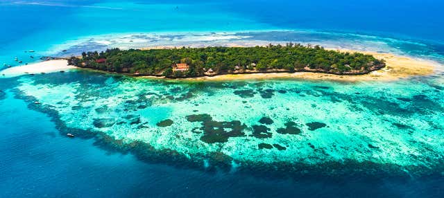 Tour di Stone Town e Prison Island