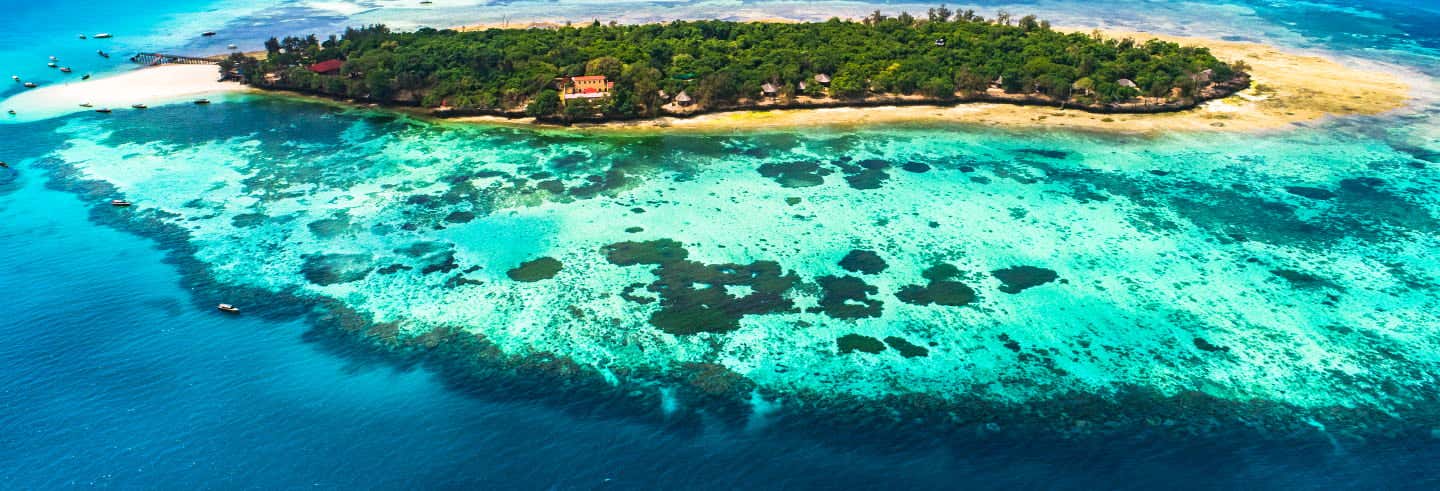 Tour di Stone Town e Prison Island