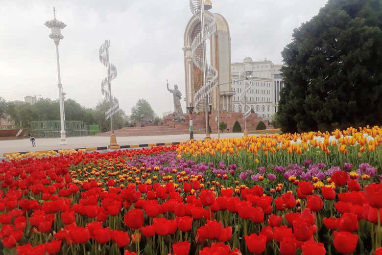 Imagen 11
