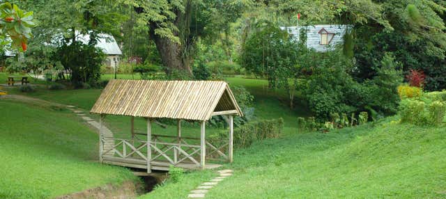 Escursione a Lopinot