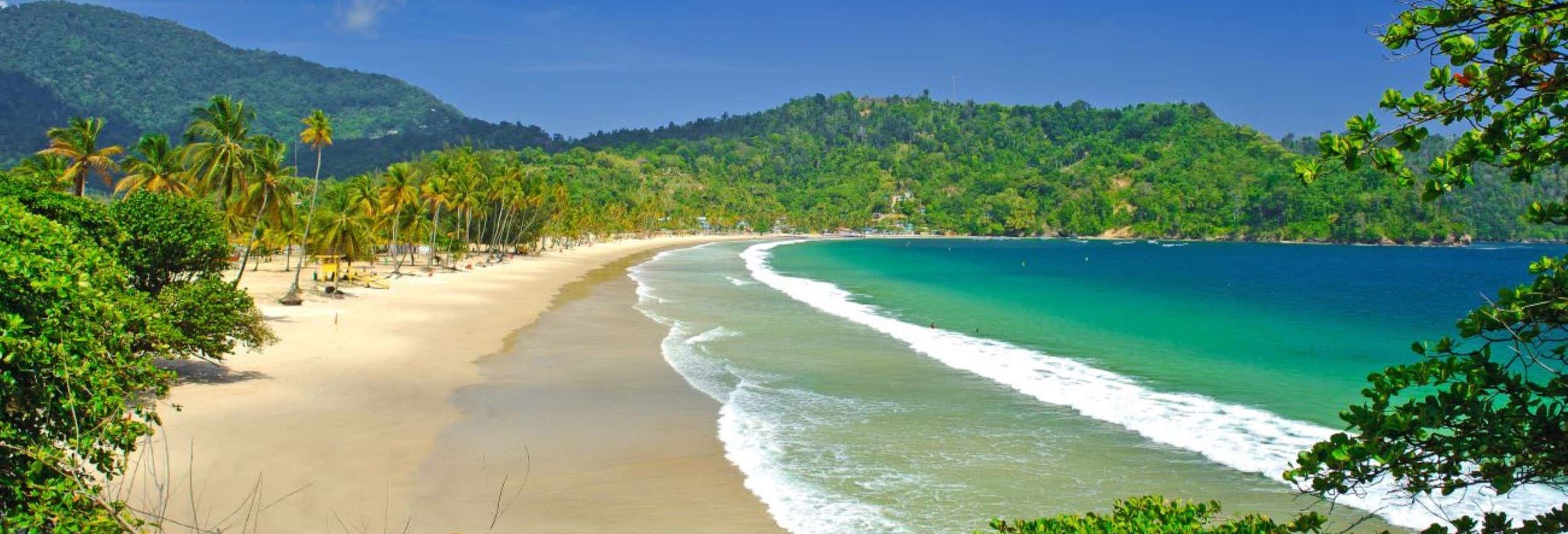 Escursione alla spiaggia Maracas