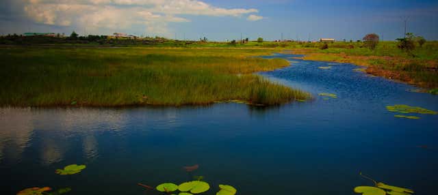 Escursione al Temple in the Sea e Pitch Lake