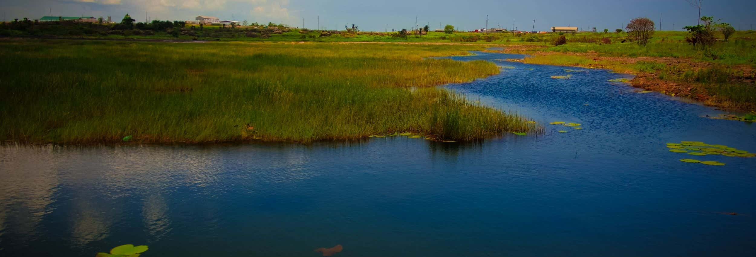 Escursione al Temple in the Sea e Pitch Lake