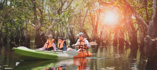 Tour del Caroni Bird Sanctuary in kayak