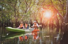 Tour en kayak por el santuario de aves Caroni