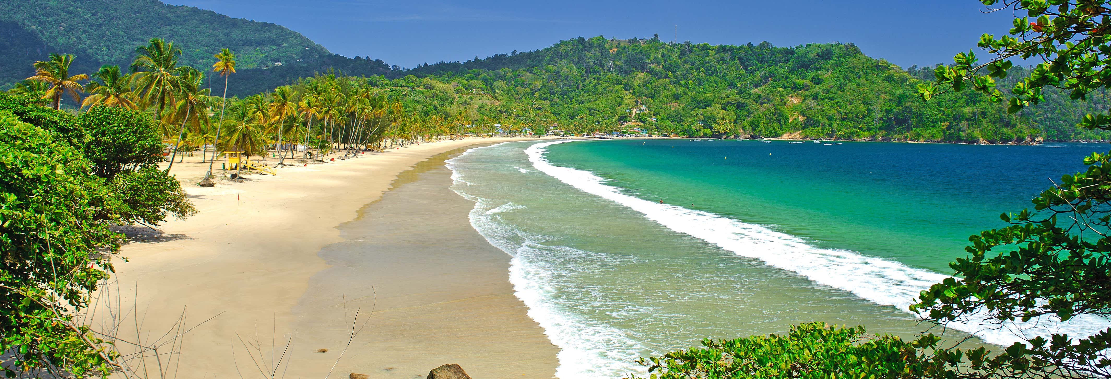 Tour di Port of Spain e Maracas Beach