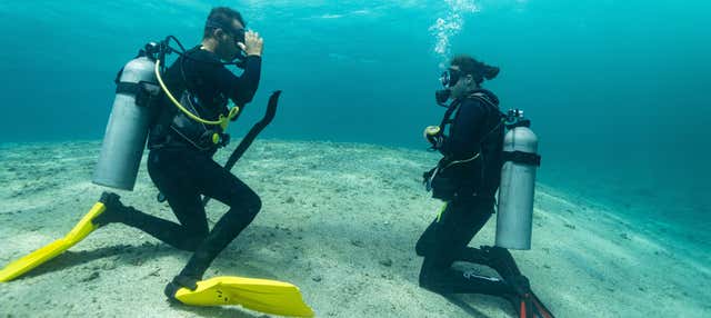 Immersione per principianti a Djerba