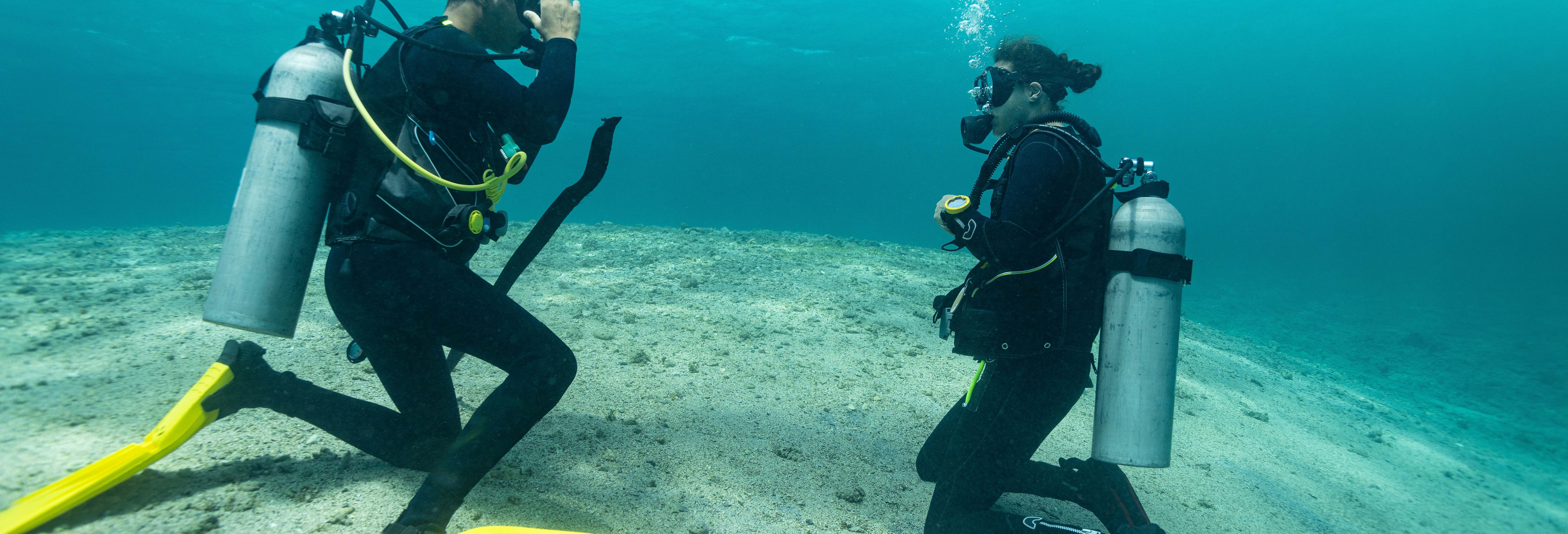Immersione per principianti a Djerba