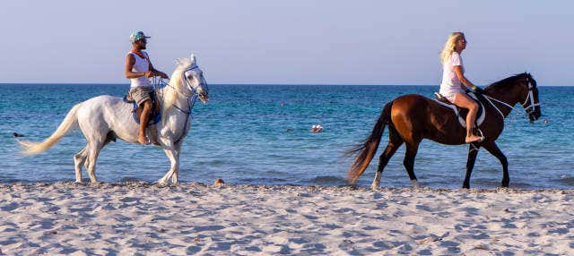 Giro a cavallo nella laguna di Djerba