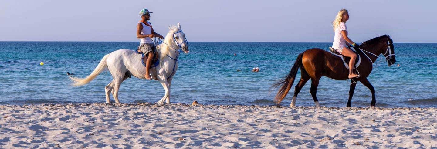 Horse Riding in Djerba Lagoon