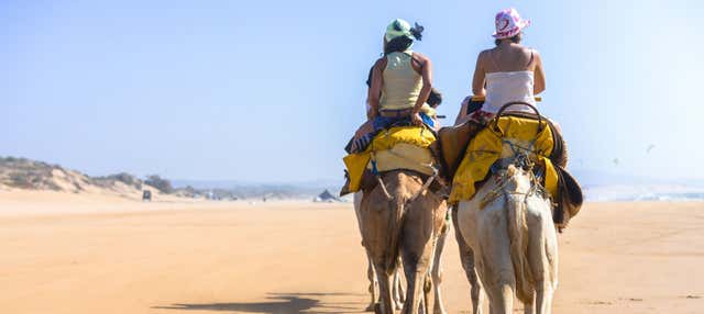 Giro in cammello nella Laguna di Djerba