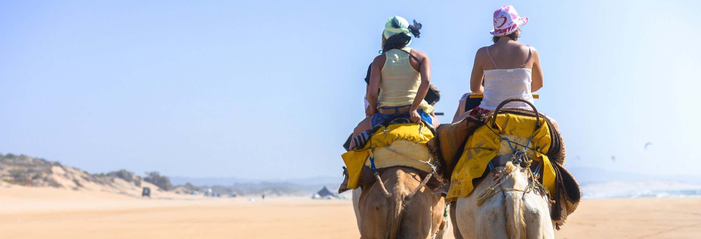 Camel Ride in Djerba Lagoon