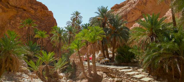 Tour di 2 giorni a Chott El Jerid, Tozeur e Douz