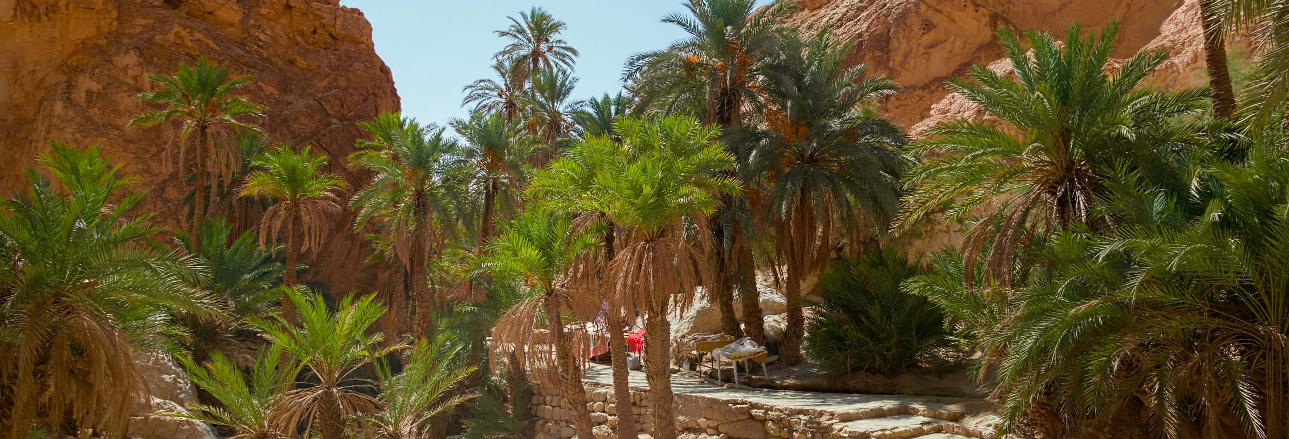 Tour di 2 giorni a Chott El Jerid, Tozeur e Douz