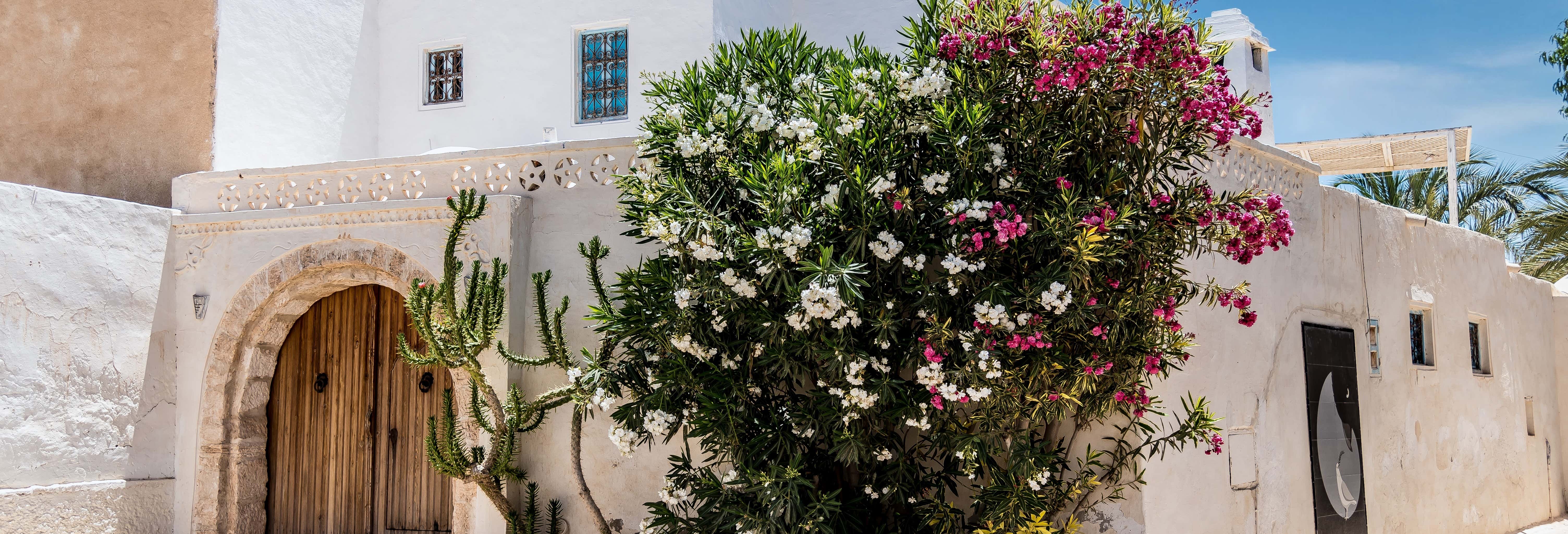 Tour di Djerba + Museo di Guellela