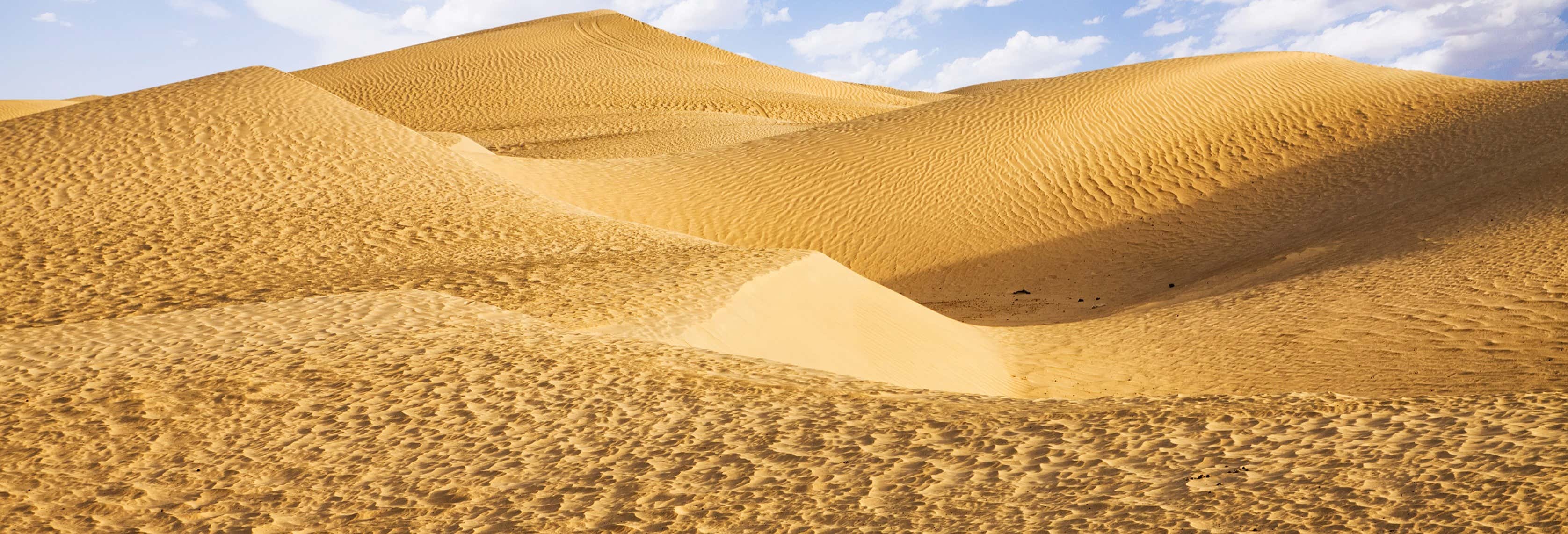 Escursione di 2 giorni a Kairouan, Douz ed El Djem