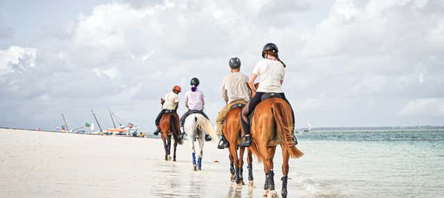 Passeggiata a cavallo sulla spiaggia di Hammamet