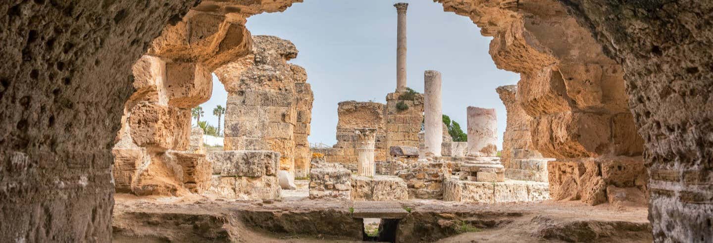 Escursione a Cartagine e Sidi Bou Said
