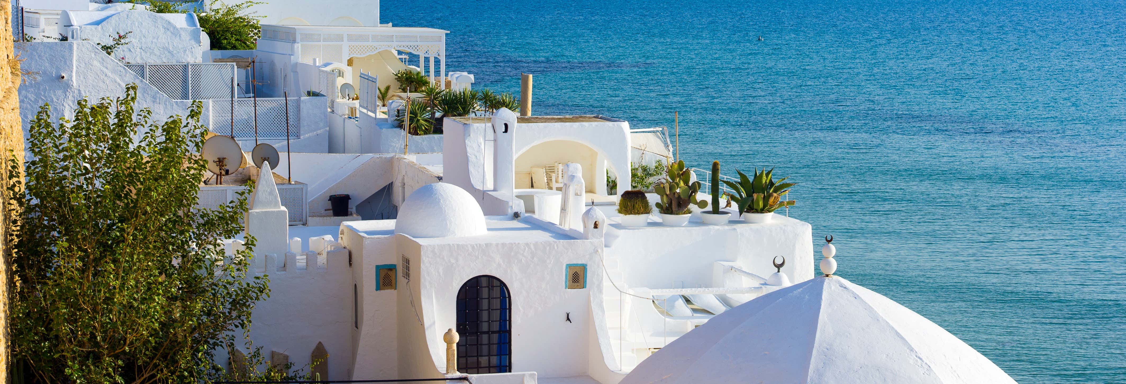 Escursione alla penisola di Capo Bon