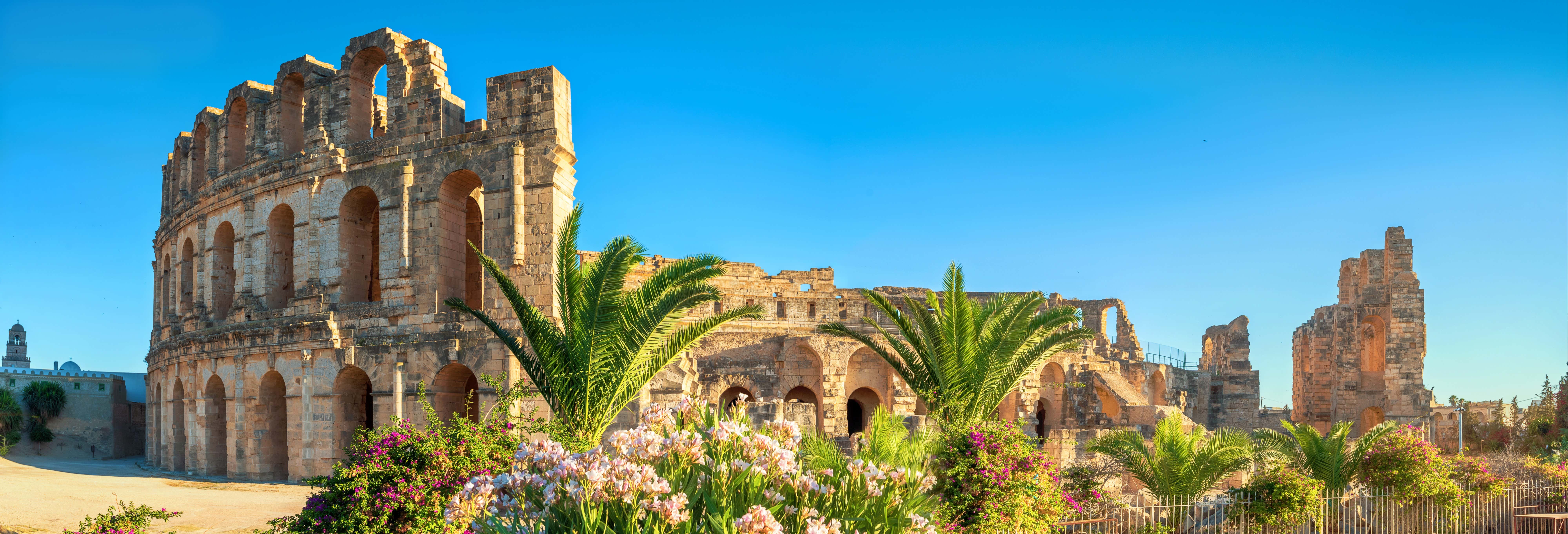 Escursione privata da Tunisi