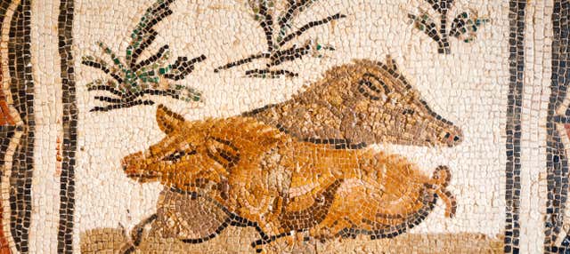 Tour del Museo del Bardo e della Medina di Tunisi