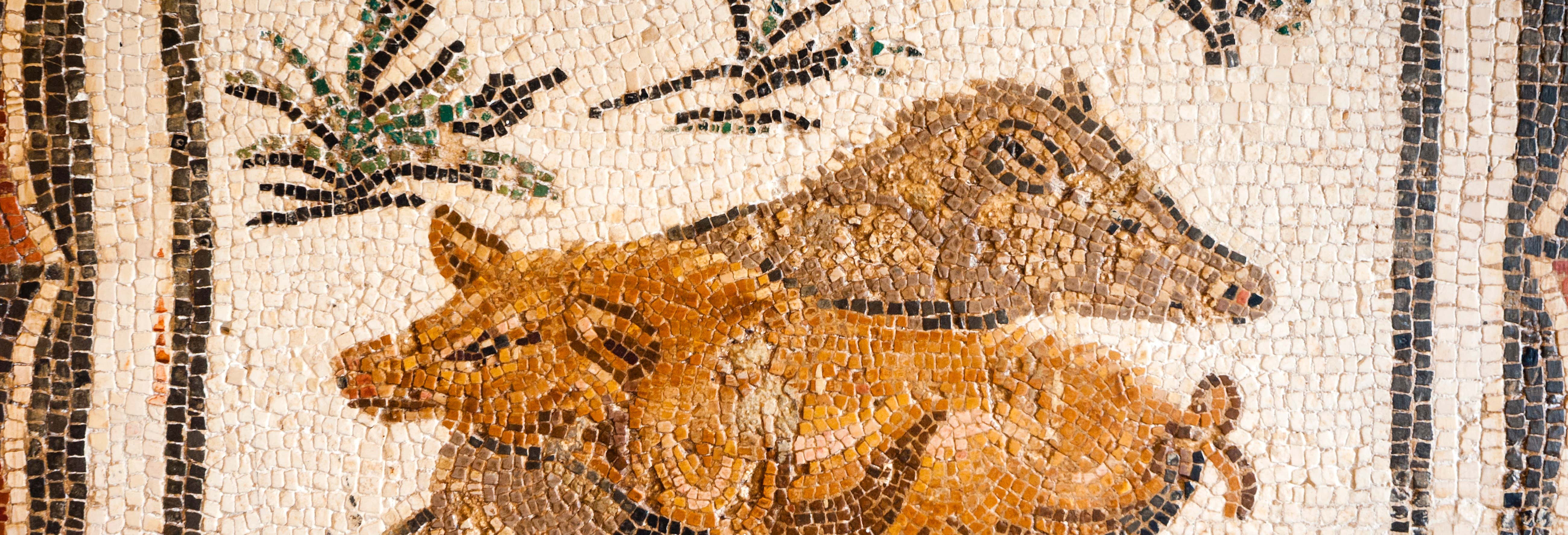 Tour del Museo del Bardo e della Medina di Tunisi