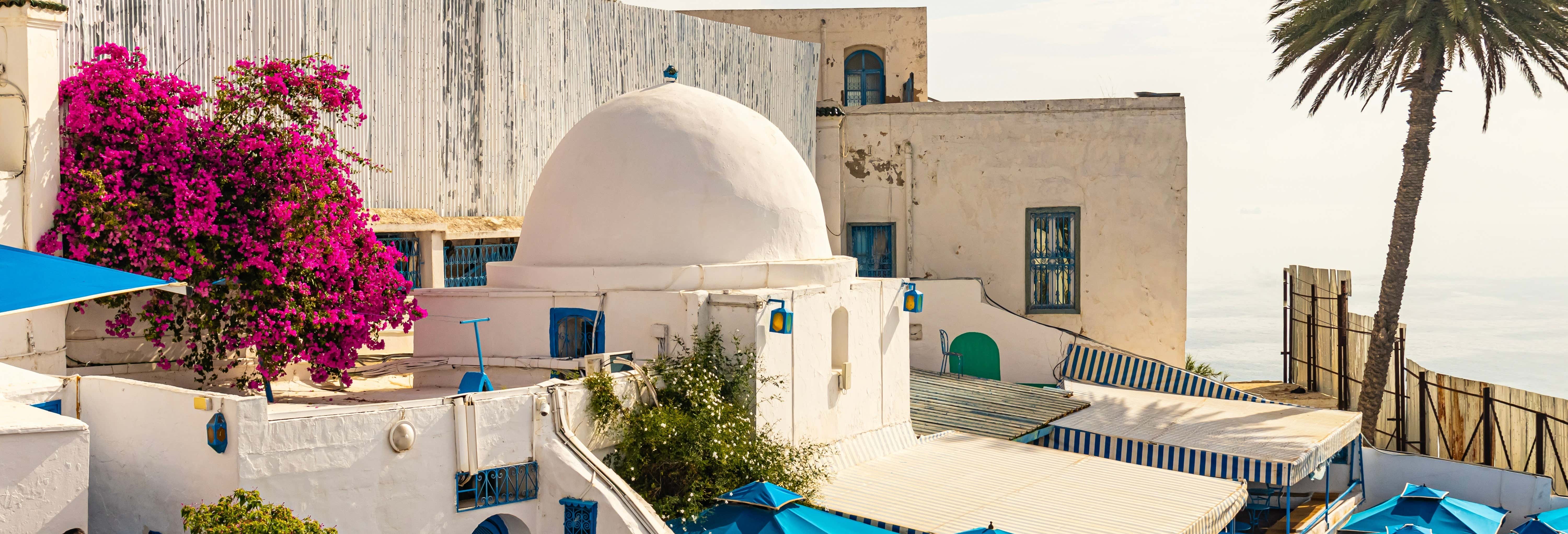 Tour di Tunisi, Cartagine e Sidi Bou Said