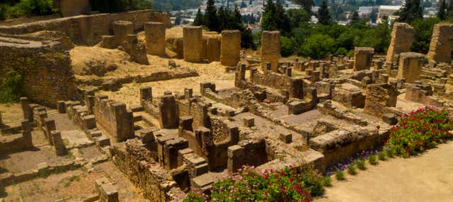 Tour di Tunisi, Cartagine e Sidi Bou Said per croceristi